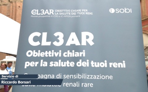 Reni: quelle malattie difficili da diagnosticare